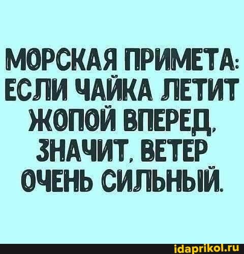 МОРСКАЯ ПРИМЕТА:
ЕСЛИ ЧАИКА ЛЕТИТ ЖОПОЙ ВПЕРЕД,
ЗНАЧИТ, ВЕТЕР.
ОЧЕНЬ СИЛЬНЫЙ.