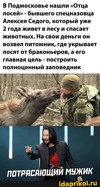 В Подмосковье нашли "Отца лосей" - бывшего спецназовца
Алексея Седого, который уже
2 года живет в лесу и спасает животных. На свои деньги он возвел питомник, где укрывает лосят от браконьеров, а его главная цель - построить полноценный заповедник
ПОТРЯСАЮЩИЙ МУЖИК