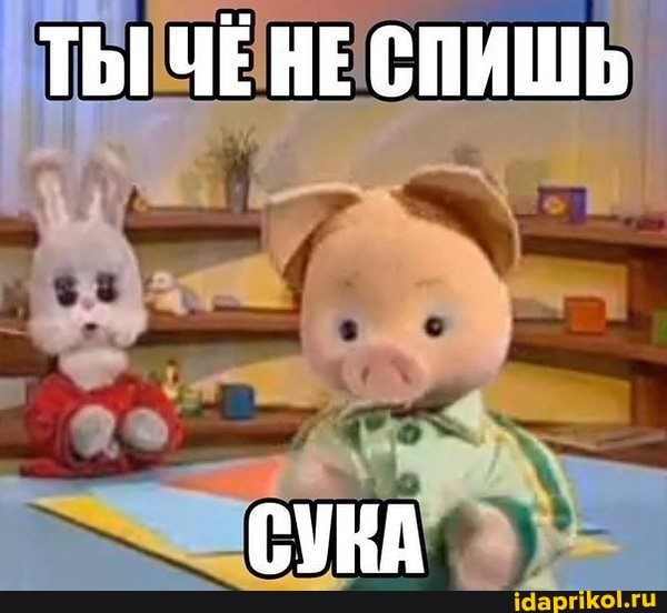 ТЫ ЧЕНЕ СПИШЬ
СУКА