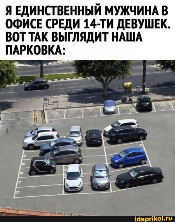 Я ЕДИНСТВЕННЫЙ МУЖЧИНА В ОФИСЕ СРЕДИ 14-ТИ ДЕВУШЕК.
ВОТ ТАК ВЫГЛЯДИТ НАША ПАРКОВКА: