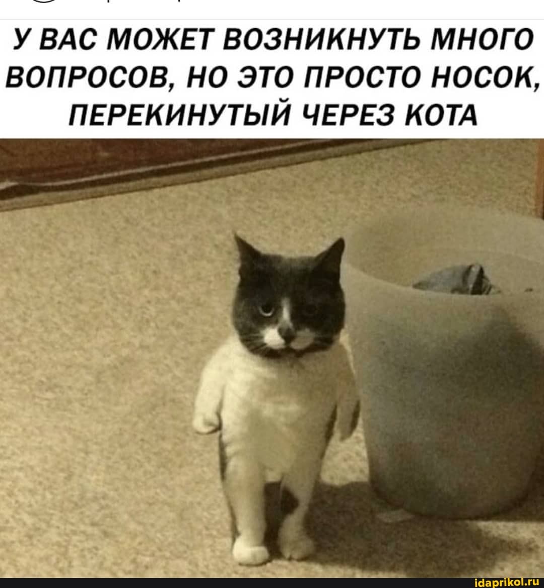 У ВАС МОЖЕТ ВОЗНИКНУТЬ МНОГО
ВОПРОСОВ, НО ЭТО ПРОСТО НОСОК,
ПЕРЕКИНУТЫЙ ЧЕРЕЗ КОТА