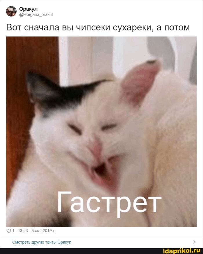 Вот сначала вы чипсеки сухареки, а потом