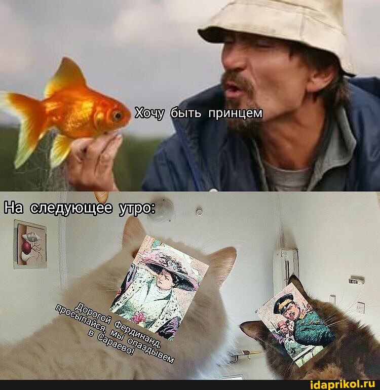 Хочу быть принцем
На следующее утро: