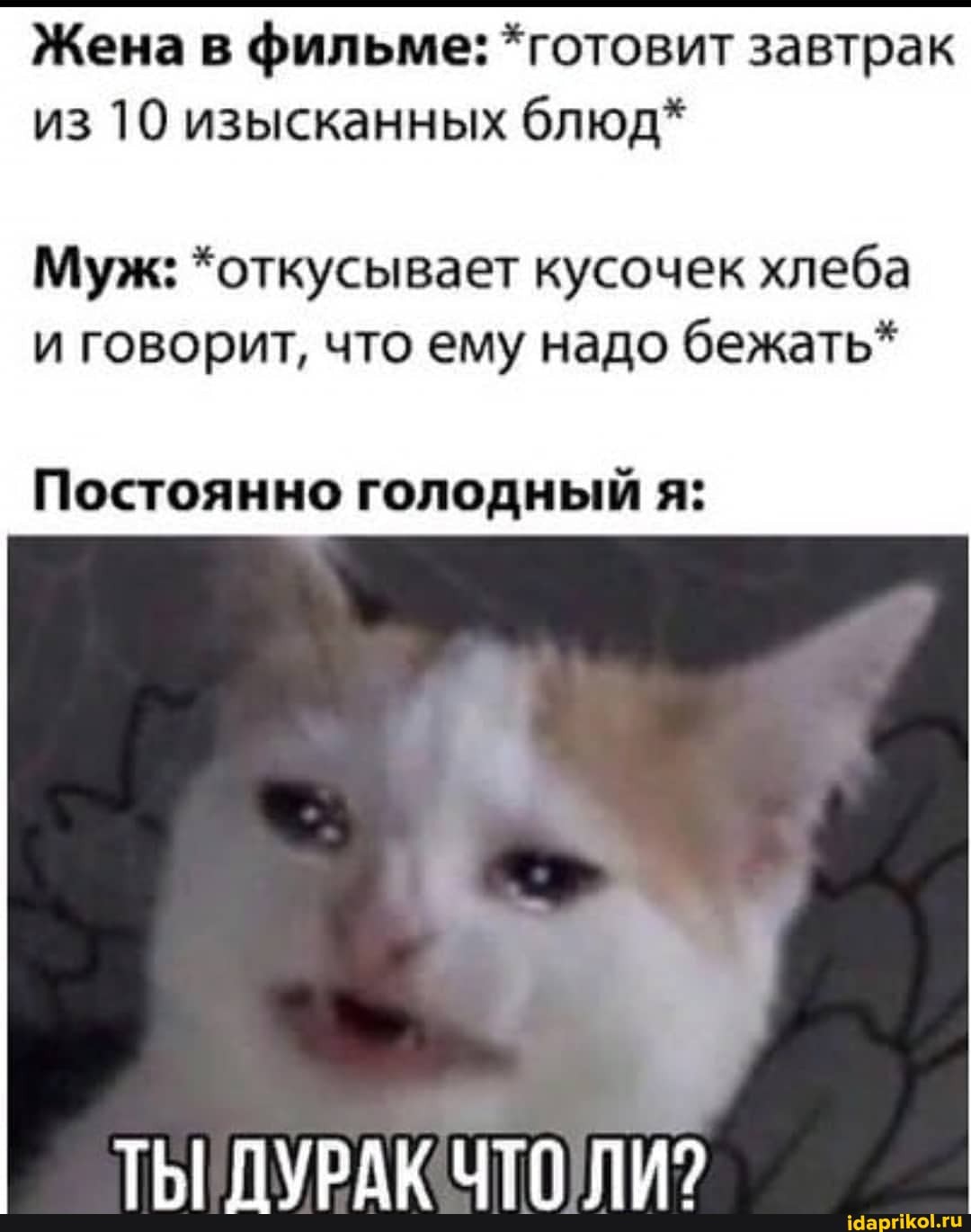 Жена в фильме: *готовит завтрак из 10 изысканных блюд*
Муж: *откусывает кусочек хлеба и говорит, что ему надо бежать*
Постоянно голодный я:
ТЫ! ПУРАК ЧТО ПИЭ