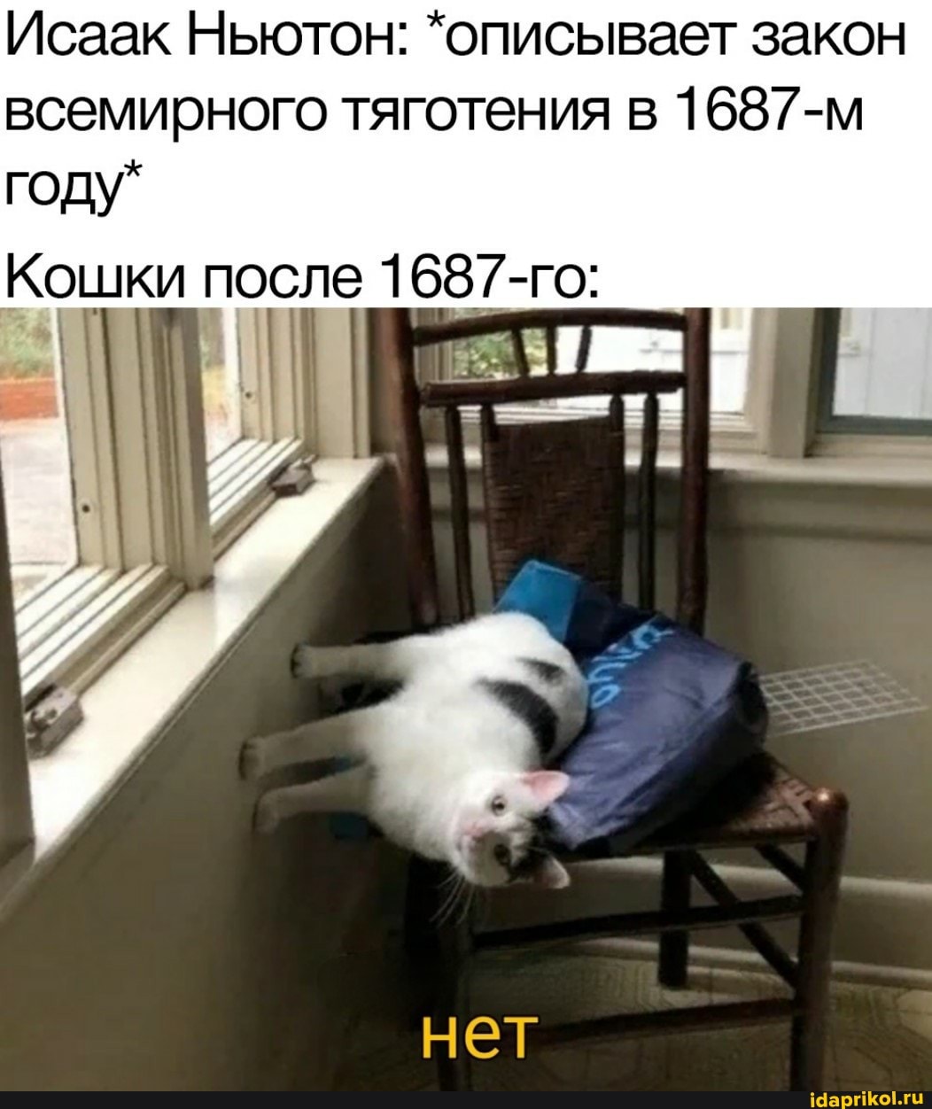 Исаак Ньютон: *описывает закон всемирного тяготения в 1687-м году*
Кошки после 1687-го:
нет