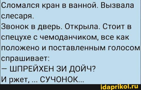Сломался кран в ванной. Вызвала слесаря.
Звонок в дверь. Открыла. Стоит в спецухе с чемоданчиком, все как положено и поставленным голосом спрашивает:
- ШПРЕЙХЕН ЗИ ДОЙЧ?
И ржет, СУЧОНОК...