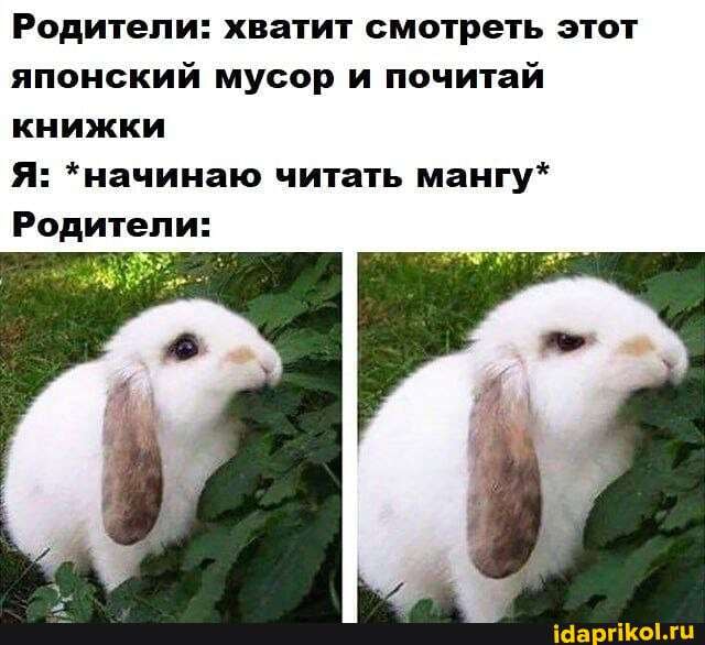 Родители: хватит смотреть этот японский мусор и почитай книжки
Я: *начинаю читать мангу*
Родители: