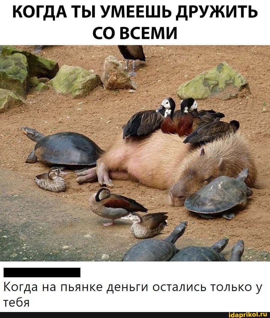 КОГДА ТЫ УМЕЕШЬ ДРУЖИТЬ СО ВСЕМИ
Когда на пьянке деньги остались только у тебя