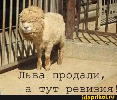 Льва продали, а тут ревизия!