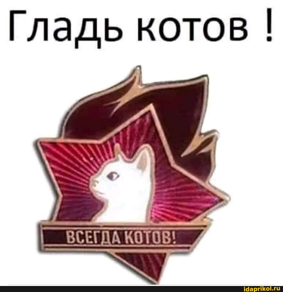 Гладь котов I
ВСЕГДА КОТОВ: