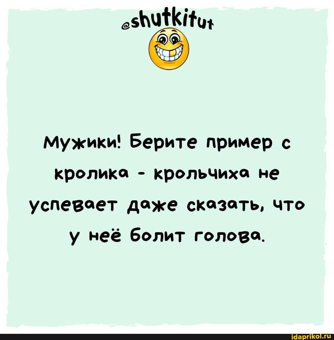 Мужики! Берите пример с кролика - крольчиха не успевает даже сказать, что у неё болит голова.