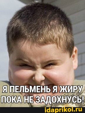 Я ПЕЛЬМЕНЬ Я ЖИРУ ПОКА НЕ ЗАДОХНУСЬ!