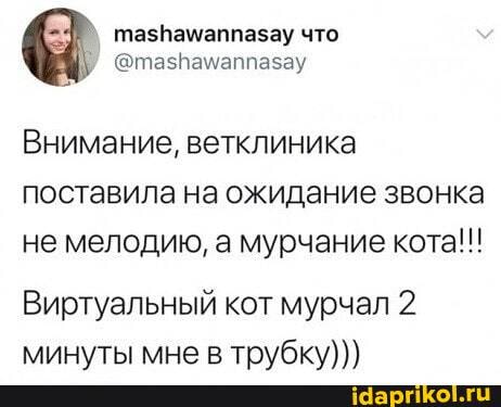 тазПамаппазау что
@тазвамаппазау
Внимание, ветклиника поставила на ожидание звонка не мелодию, а мурчание кота!!!
Виртуальный кот мурчал 2 минуты мне в