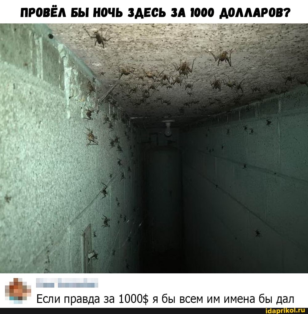 ПРОВЁЛ БЫ ночь ЗАЕСЬ ЗА 1000 АОЛЛАРОВ?
Если правда за 1000$ я бы всем им имена бы дал