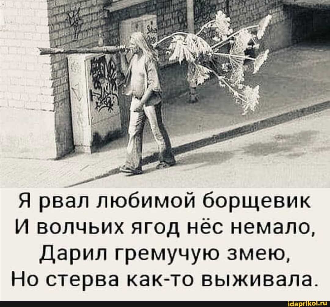 Я рвал любимой борщевик
И волчьих ягод нёс немало,
Дарил гремучую змею,
Но стерва как-то выживала.