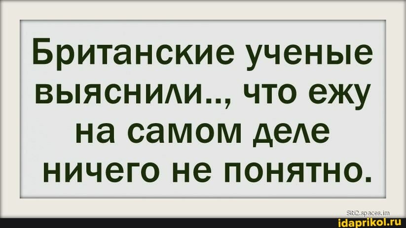 Британские ученые выяснили.., что ежу на самом деле ничего не понятно.