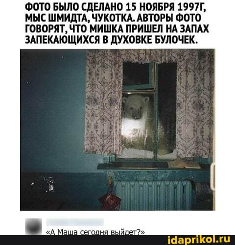ФОТО БЫЛО СДЕЛАНО 15 НОЯБРЯ 1997Г,
МЫС ШМИДТА, ЧУКОТКА. АВТОРЫ ФОТО ГОВОРЯТ, ЧТО МИШКА ПРИШЕЛ НА ЗАПАХ ЗАПЕКАЮЩИХСЯ В ДУХОВКЕ БУЛОЧЕК.
