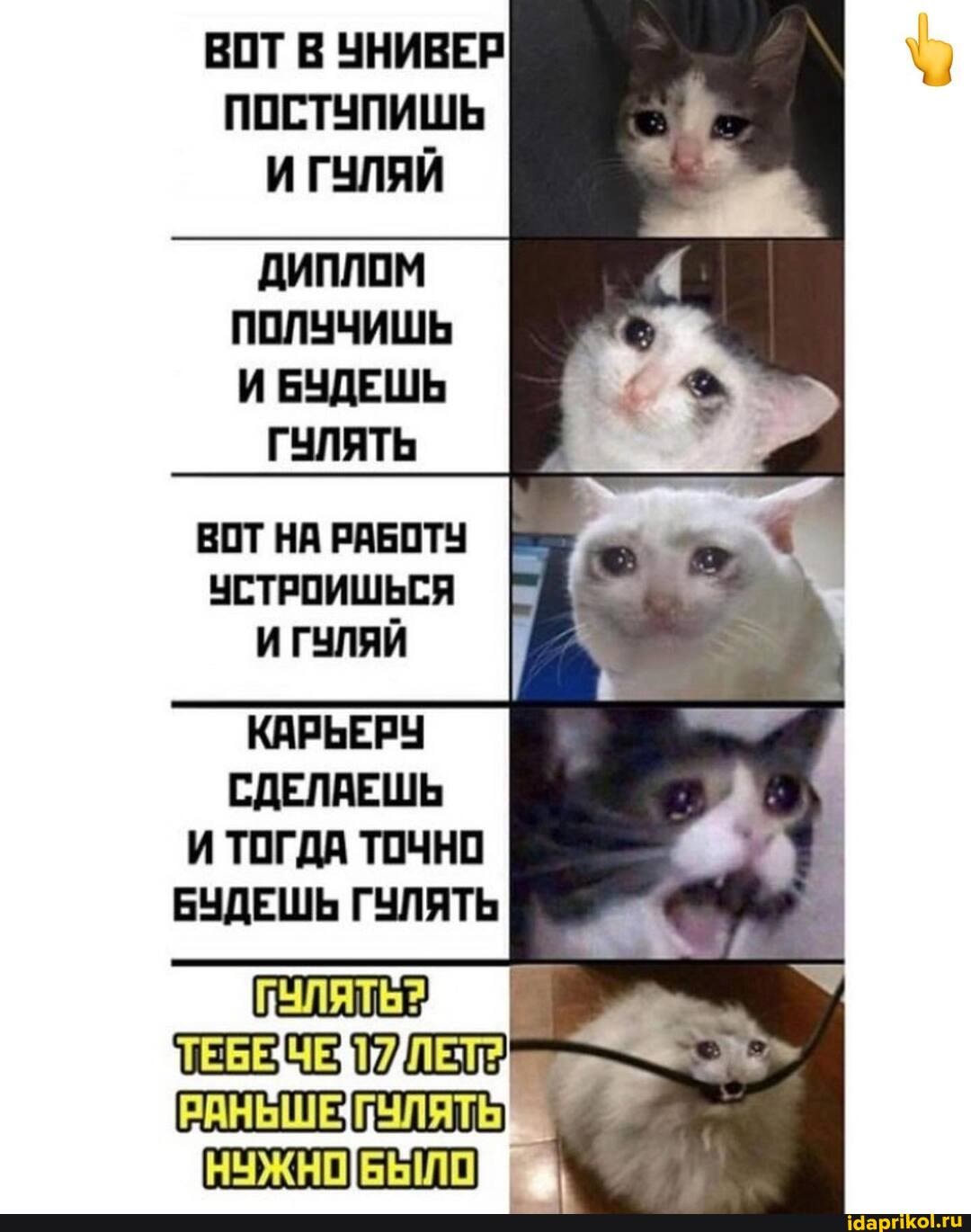 ВОТ В УНИВЕР ПОСТУПИШЬ И ГУЛЯЙ
ДИПЛОМ ПОЛУЧИШЬ И БУДЕШЬ
ГУЛЯТЬ
ВОТ НА РАБОТУ УСТРОИШЬСЯ И ГУЛЯЙ
КАРЬЕРУ СДЕЛАЕШЬ И ТОГДА ТОЧНО БУДЕШЬ ГУЛЯТЬ
ТЕБЕ
НУЖНО
