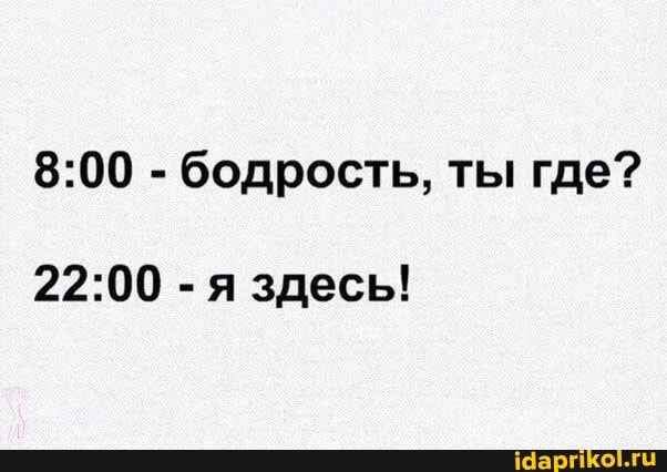 - бодрость, ты где?
-я здесь!