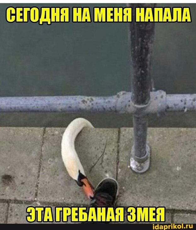 СЕГОДНЯ НА МЕНЯ НАПАЛА
