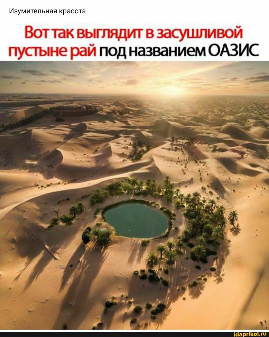 Изумительная красота
Воттак выглядит в засушливой пустыне рай под названием ОАЗИС