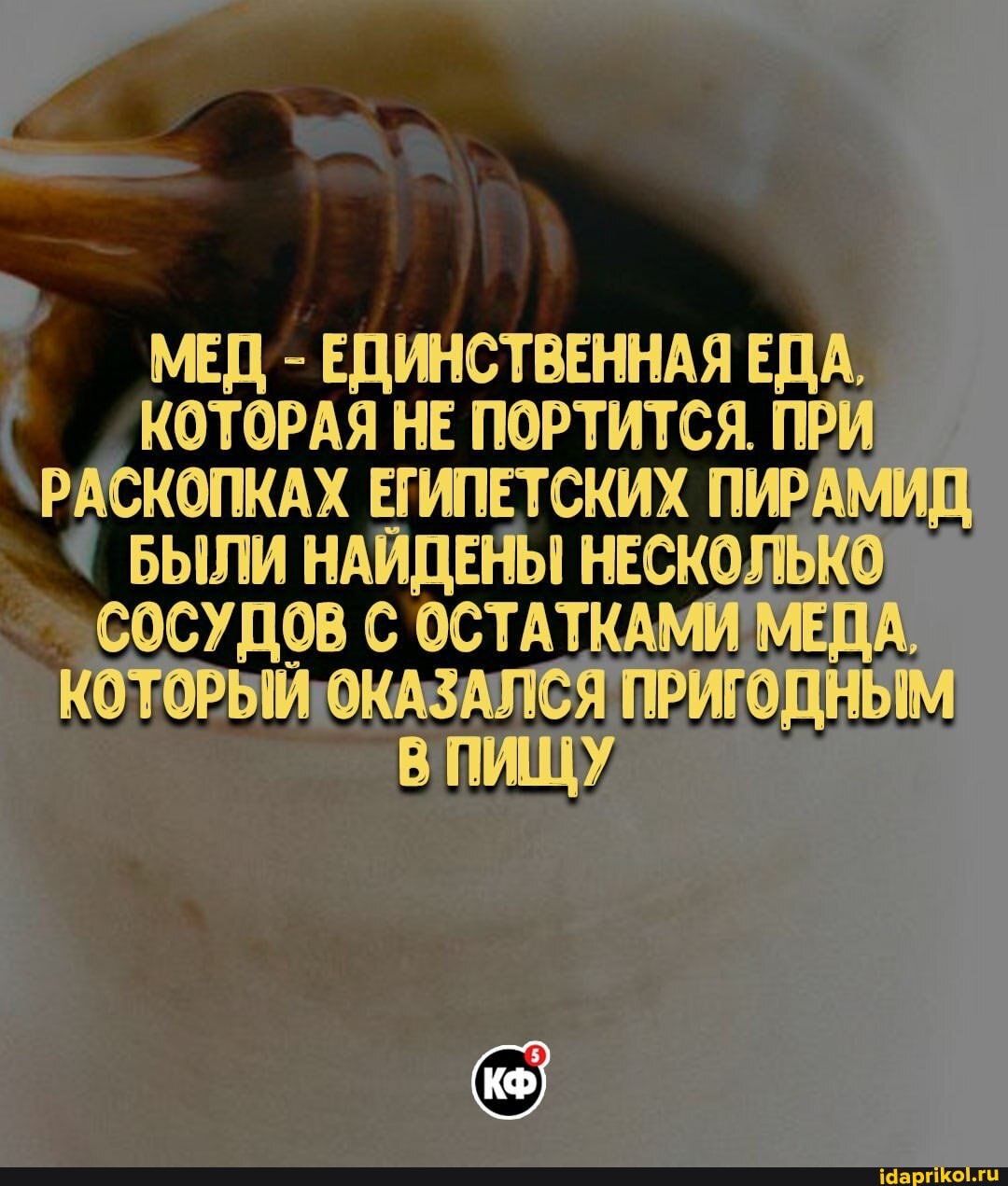 МЕД - ЕДИНСТВЕННАЯ ЕДА,
КОТОРАЯ НЕ ПОРТИТСЯ. ПРИ РАСКОПКАХ ЕГИПЕТСКИХ ПИРАМИД,
БЫЛИ НАЙДЕНЫ НЕСКОЛЬКО СОСУДОВ С ОСТАТКАМ КОТОРЫИ'ОКАЗАЛСЯ ПРИГОДНЫМ ПИЩУ