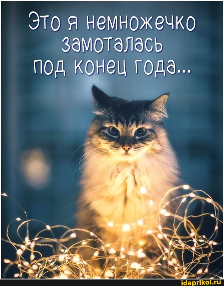 Это я немножечко замоталась под конец года...