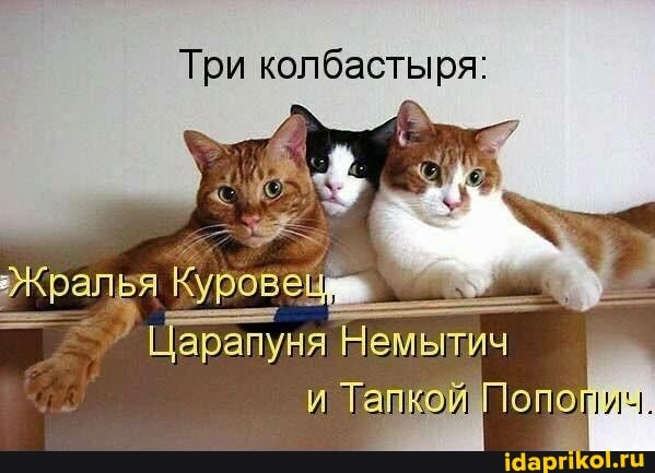 Три колбастыря:
Тапкой опо