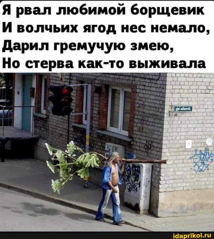 Я рвал любимой борщевик
И волчьих ягод нес немало,
Дарил гремучую змею,
Но стерва как-то выживала