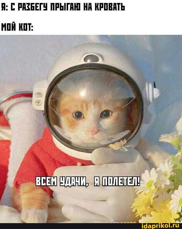 Я: С РАЗБЕГУ ПРЫГАЮ НА КРОВАТЬ
ной
ВСЕМ УДАЧИ, ПОЛЕТЕЛ!