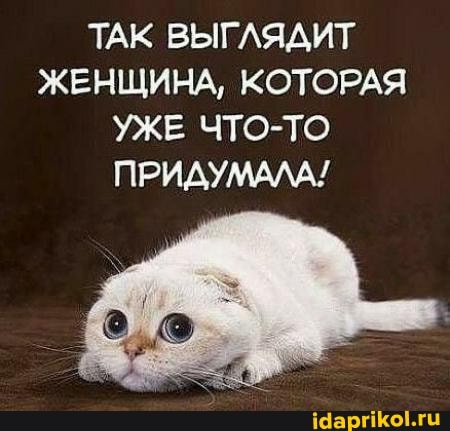 ТАК ВЫГЛЯДИТ ЖЕНЩИНА, КОТОРАЯ УЖЕ ЧТО-ТО ПРИДУМАЛА!