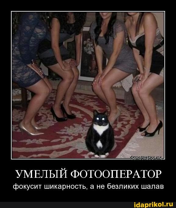 УМЕЛЫЙ ФОТООПЕРАТОР
фокусит шикарность, а не безликих шалав
