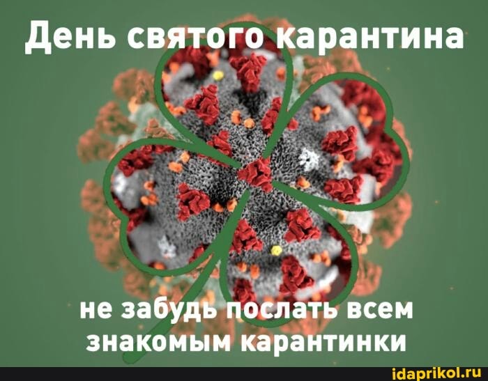 a святого М lla
всем
знакомым
карантинки