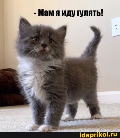 - Мам я иду гулять!