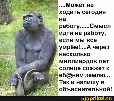 ".Может не ходить сегодня на работу......Смысл идти на работу, если мы все через несколько миллиардов лет солнце сожжет к землю...
Так и напишу в обяснительно