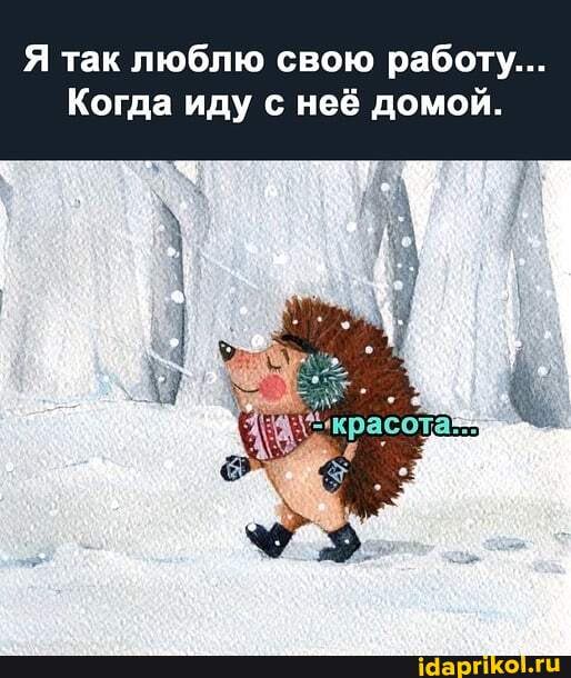 Я так люблю свою работу...
Когда иду с неё домой.