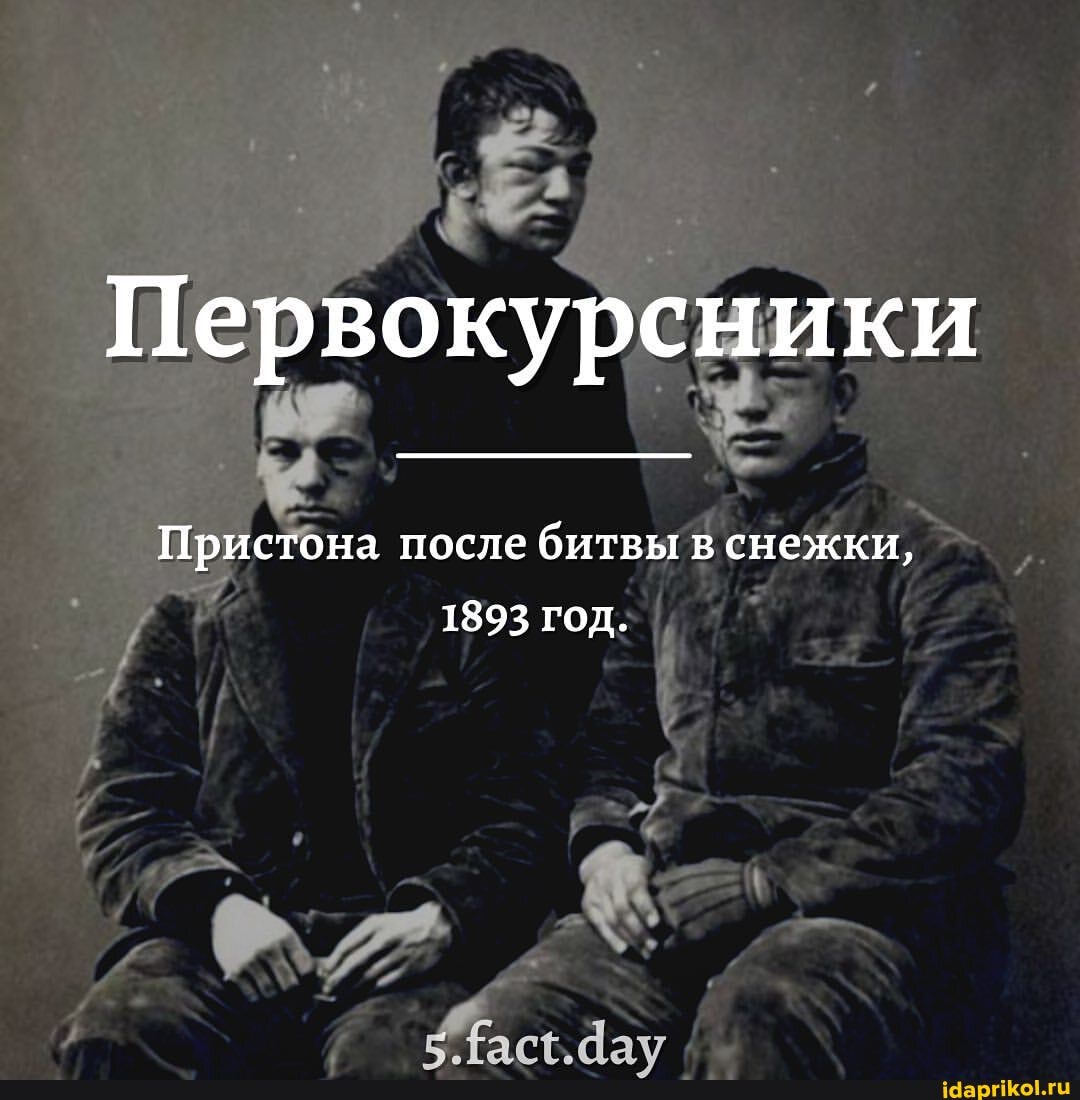 Первокурсники
Пристона после битвы в снежки,
1893 год.