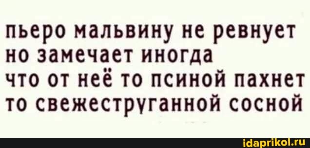 пьеро мальвину не ревнует но замечает иногда
что от неё то псиной пахнет то свежеструганной сосной