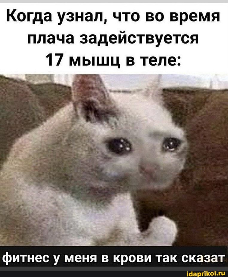 Когда узнал, что во время плача задействуется
17 мыщц в теле:
фитнес у меня в крови так сказат