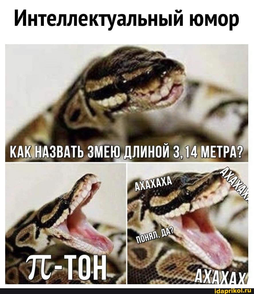Интеллектуальный юмор
КАК НАЗВАТЬ ЗМЕЮ ДЛИНОЙ 3.14 МЕТРА?
АХАКА