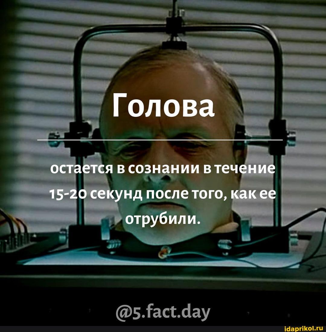 Голова
остается в сознании втечение
15-20 секунд после того, как ее отрубили.