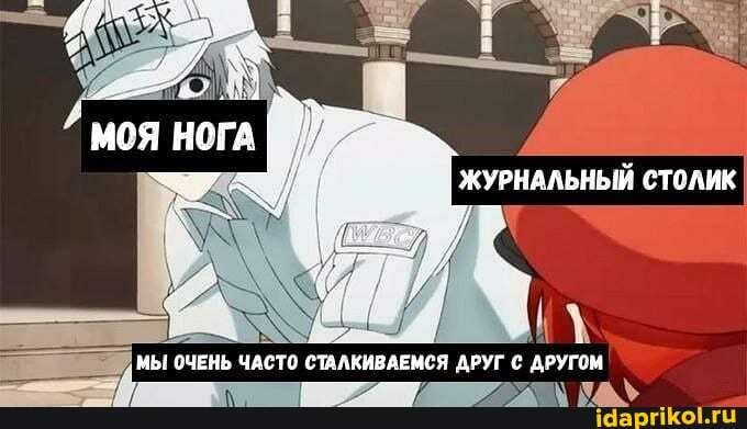 'МЫ СЧЕНЬ ЧАСТО СТАЛКИВАЕМСЯ ДРУГ ДРУГСМ