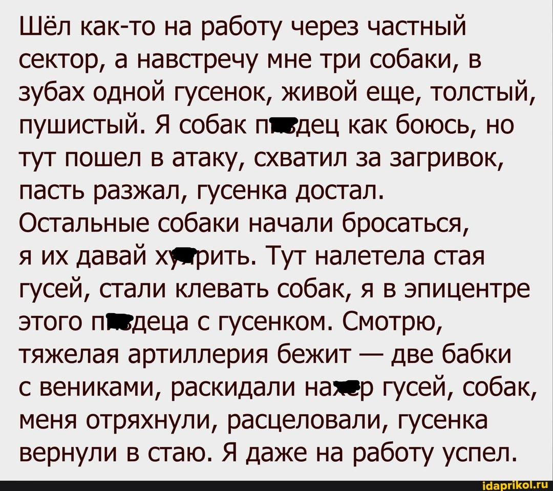 Шёл как-то на работу через частный сектор, а навстречу мне три собаки, в зубах одной гусенок, живой еще, толстый, пушистый. Я собак павдец как боюсь, но туг пошел в атаку, схватил за загривок, пасть разжал, гусенка достал.
Остальные собаки начали бросаться,
я их давай Тут налетела стая гусей, стали клевать собак, я в эпицентре этого с гусенком. Смотрю, тяжелая артиллерия бежит - две бабки
с вениками, раскидали нажер гусей, собак, меня отряхнули, расцеловали, гусенка вернули в стаю. Я даже на работу успел.