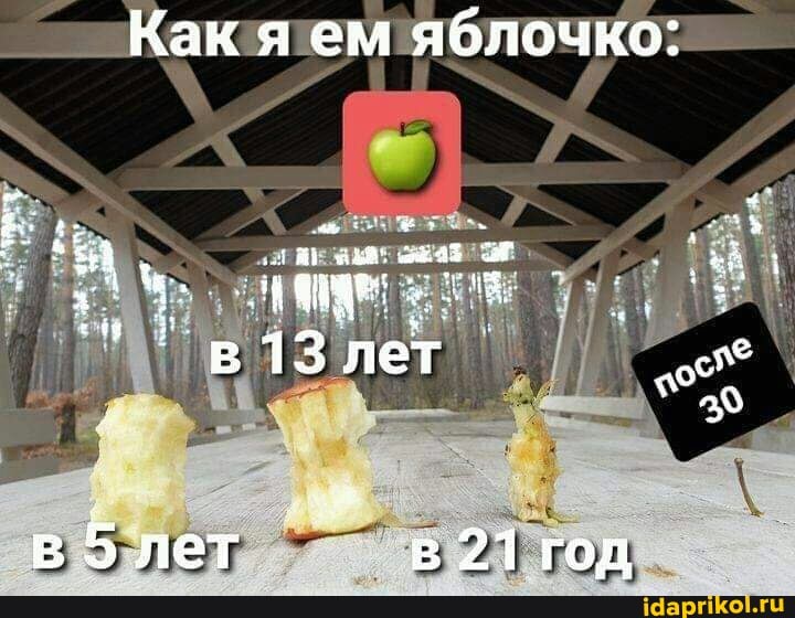 Как я ем яблочко:
в 5 лет в 271 год
