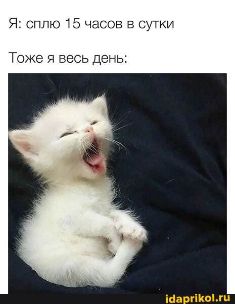 Я: сплю 15 часов в сутки
Тоже я весь день: