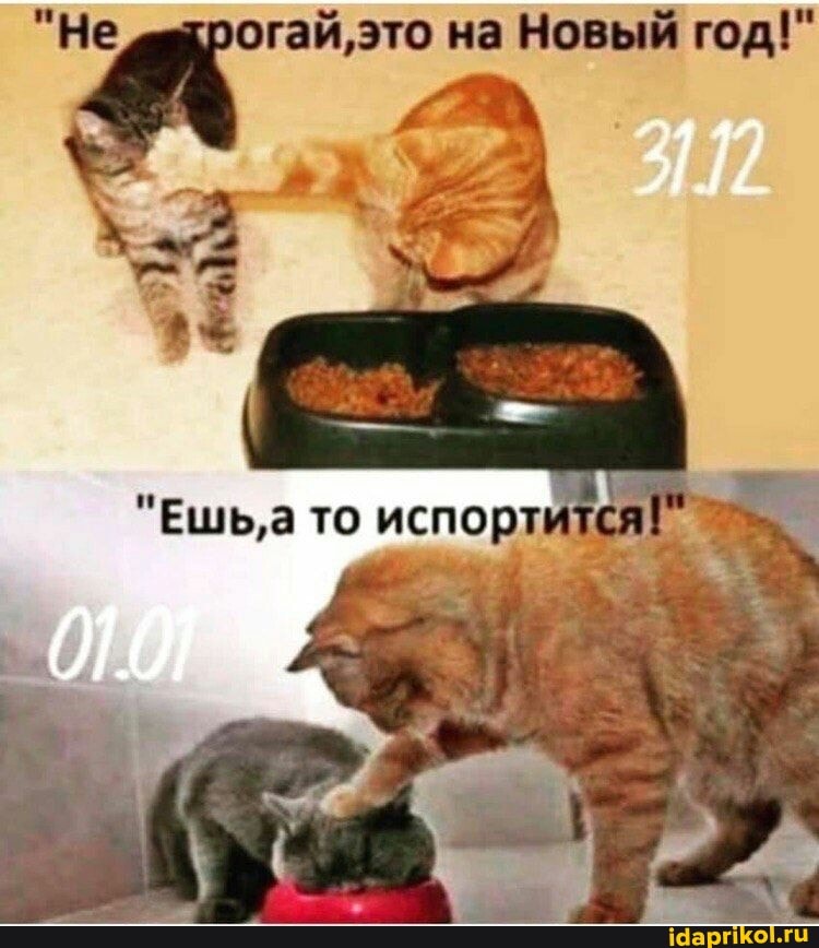 "Не гай,это на Новый год!"