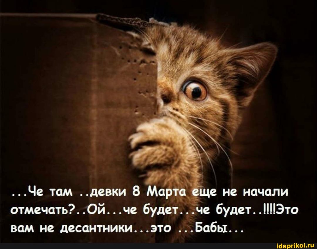 ...Че там ..девки 8 Марта еще не начали
..че будет. че будет. !Это вам не десантники... .это ...Бобы...