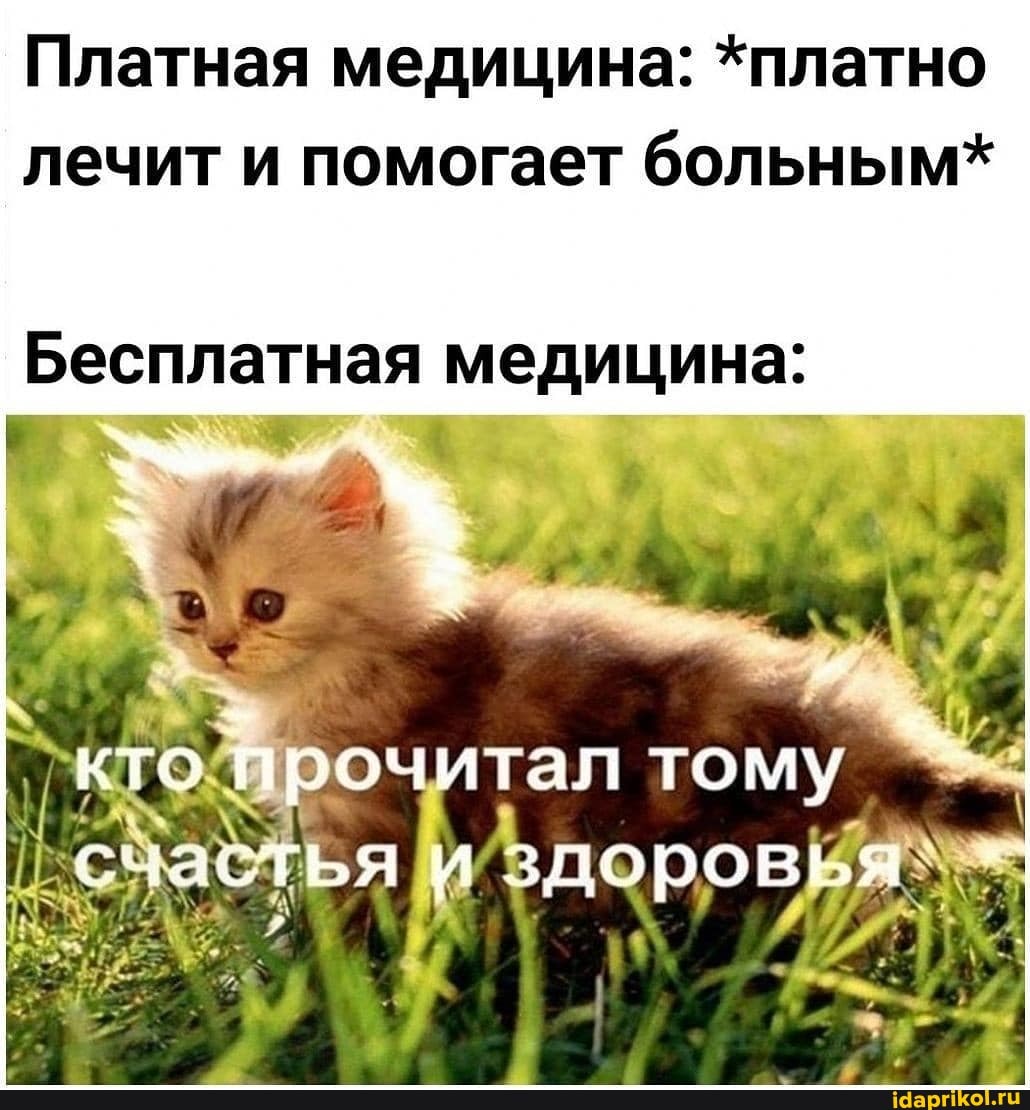 Платная медицина: *платно лечит и помогает больным*
Бесплатная медицина:
кто прочитал тому
счастья здоровья