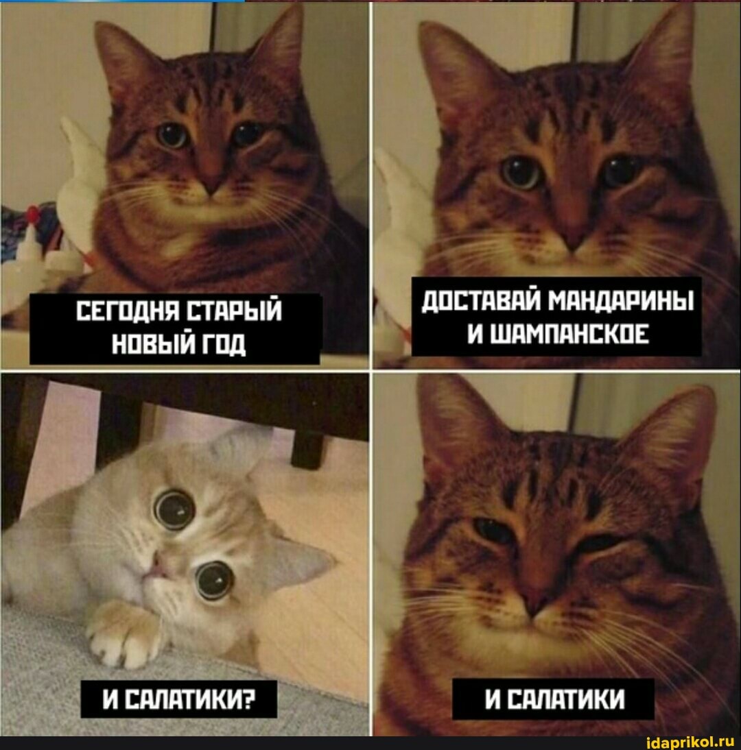 СЕГОДНЯ СТАРЫЙ ДОСТАВАЙ МАНДАРИНЫ НОВЫЙ ГОД И ШАМПАНСКОЕ
И САЛАТИКИ? И САЛАТИКИ