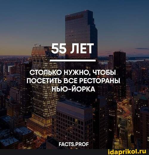 55 ЛЕТ
СТОЛЬКО НУЖНО, ЧТОБЫ ПОСЕТИТЬ ВСЕ РЕСТОРАНЫ ЙОРКА